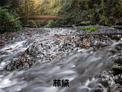快穿系统：宿主在小世界玩疯了（林黛）小说精彩免费内容_快穿系统：宿主在小世界玩疯了（林黛）最新章节全文阅读大结局