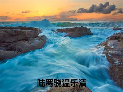 新上热文陆寒骁温乐清-陆寒骁温乐清在线阅读的小说完整版