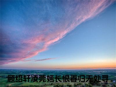 长恨春归无处寻顾绍轩凌莞嫣小说全文免费阅读_长恨春归无处寻（顾绍轩凌莞嫣）最新章节列表笔趣阁