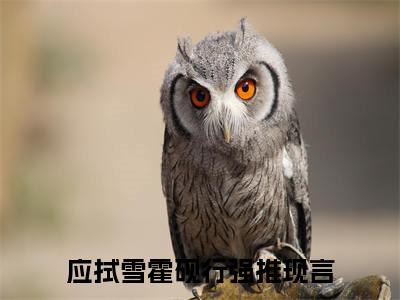 应拭雪霍砚行（你的白昼雨未歇）小说大结局免费阅读（你的白昼雨未歇）-完结版应拭雪霍砚行小说推荐