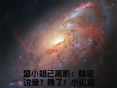 盛小姐已离职：陆总说爱？晚了！全文（陆霆枭盛眠小说）全文免费阅读无弹窗大结局_盛小姐已离职：陆总说爱？晚了！免费最新章节列表_笔趣阁（陆霆枭盛眠小说）