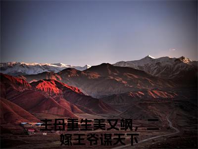 江微萧湛（主母重生美又飒，二嫁王爷谋天下）全网首发小说-小说主母重生美又飒，二嫁王爷谋天下（江微萧湛）完整版全文在线赏析