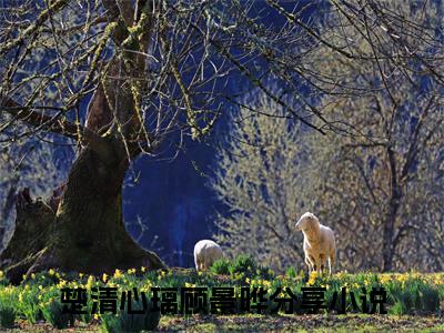 楚清心璃顾景晔（楚清心璃顾景晔）全文免费阅读_楚清心璃顾景晔最新章节列表言情小说在线阅读