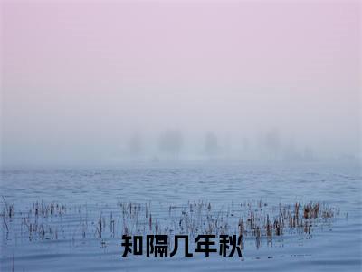 苏晴柔徐闻知（知隔几年秋）多人推荐阅读-精选小说（知隔几年秋）完整版免费阅读