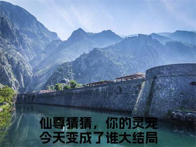 冰壶小说大结局免费阅读，仙尊猜猜，你的灵宠今天变成了谁抖音新上热文分享