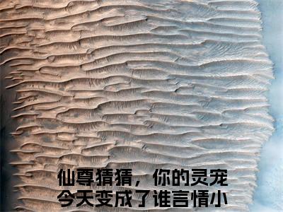 （冰壶）全文免费阅读无弹窗大结局_仙尊猜猜，你的灵宠今天变成了谁完整版最新阅读_笔趣阁（冰壶）
