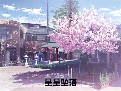 星星坠落是什么小说-小说虞姝全文阅读