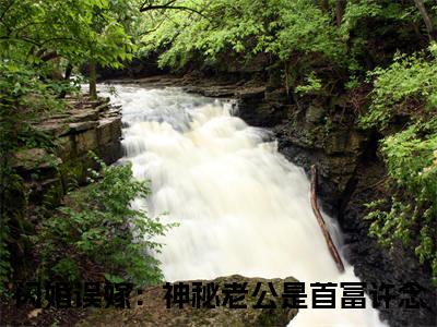 闪婚误嫁：神秘老公是首富许念全文免费阅读_（闪婚误嫁：神秘老公是首富许念免费阅读无弹窗）闪婚误嫁：神秘老公是首富许念最新章节列表