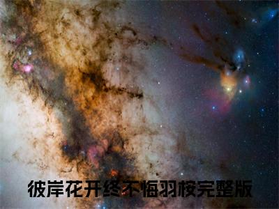 彼岸花开终不悔羽桉小说全文免费阅读（彼岸花开终不悔羽桉）全文免费阅读无弹窗大结局_（彼岸花开终不悔羽桉）彼岸花开终不悔羽桉结局最新章节列表_笔趣阁（彼岸花开终不悔羽桉）
