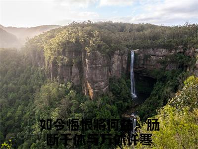 今日书单如今悔恨将何益，肠断千休与万休许寒最新更新-如今悔恨将何益，肠断千休与万休许寒全文在线观看