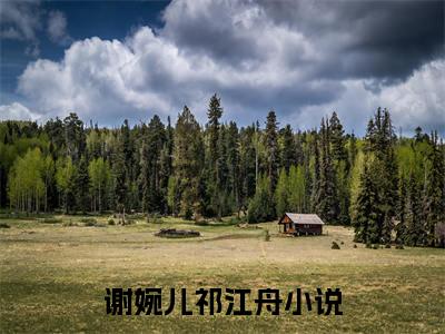 主角为谢婉儿祁江舟的小说叫什么-最新小说全文阅读