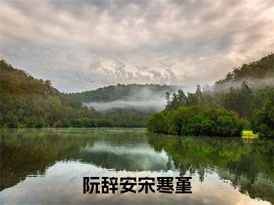 阮辞安宋寒堇抖音近期热门小说-阮辞安宋寒堇完结版在线阅读