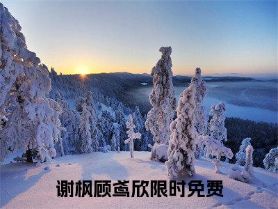 谢枫顾鸢欣（谢枫顾鸢欣免费阅读无弹窗）谢枫顾鸢欣最新章节列表_笔趣阁