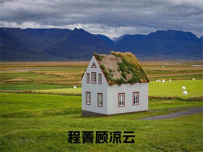 程菁顾凉云（程菁顾凉云）全文免费阅读无弹窗大结局_程菁顾凉云小说免费最新章节列表_笔趣阁