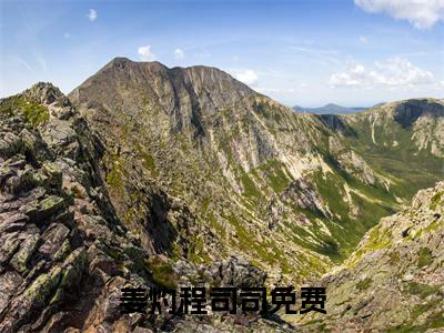 姜灼程司司小说在哪里可以看 姜灼程司司免费在线阅读