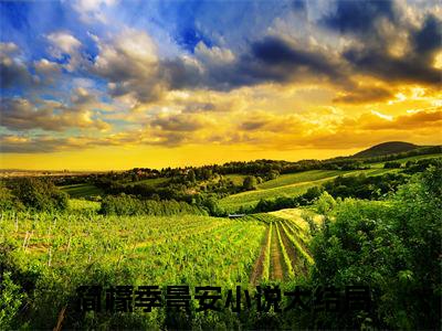 小说再也不要爱你（简檬季景安全文免费阅读）完结阅读_简檬季景安全文免费阅读免费看全文