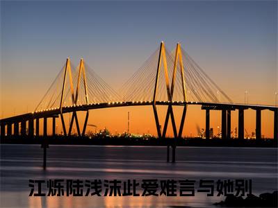 此爱难言与她别小说（江烁陆浅沫）全文完整版免费阅读-江烁陆浅沫全文完整版免费阅读（江烁陆浅沫）