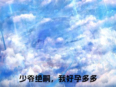 江美郁小说全文免费阅读-（少爷绝嗣，我好孕多多）江美郁精选小说大结局阅读