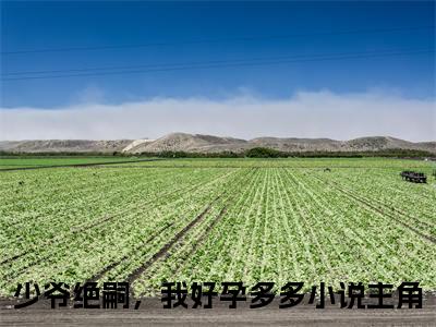 少爷绝嗣，我好孕多多（江美郁）最新免费阅读-少爷绝嗣，我好孕多多小说在线阅读