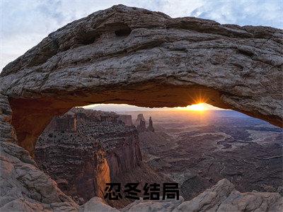 宋卿清（忍冬全文免费大结局）在线阅读-忍冬全文无删减免费赏析