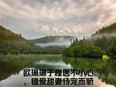 医不小心，错爱甜妻恃宠而骄（欧琳琳于槿）全文免费阅读无弹窗大结局_（医不小心，错爱甜妻恃宠而骄）欧琳琳于槿最新章节列表_笔趣阁