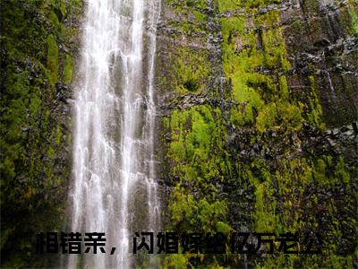 主角是相错亲，闪婚嫁给亿万老公的小说全文免费阅读无弹窗大结局-《南歌霍津庭》完整章节阅读