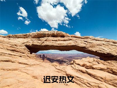 迟安小说在线阅读全文无弹窗_我在星际当宠物的日子小说最新全文完整无删减版