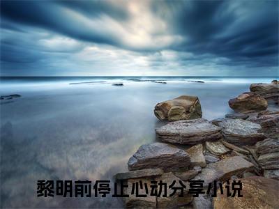 黎明前停止心动（沈念傅承川）全文免费阅读大结局_沈念傅承川免费在线阅读无删减