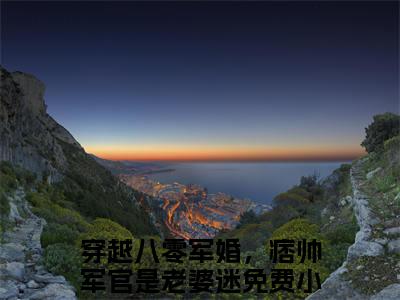 穿越八零军婚，痞帅军官是老婆迷全文（陆沉秦昭昭）全文免费阅读无弹窗大结局_陆沉秦昭昭免费最新章节列表_笔趣阁