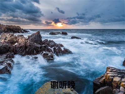 谢听晚（雾散时才说爱免费小说）全文免费阅读无弹窗大结局_雾散时才说爱免费小说最新章节列表_笔趣阁