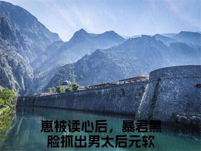 崽被读心后，暴君黑脸抓出男太后是什么小说，崽被读心后，暴君黑脸抓出男太后（元软）完整章节在线阅读