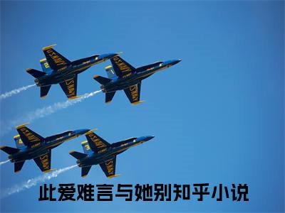 此爱难言与她别小说叫什么名字（江烁陆浅沫）完整版大结局-此爱难言与她别小说在线阅读