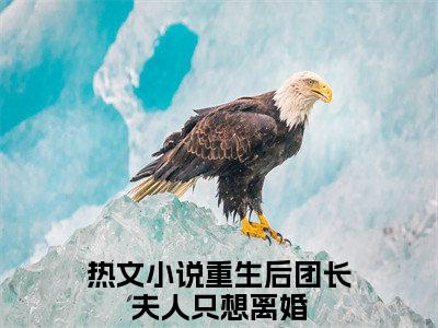 重生后团长夫人只想离婚小说在线阅读顾鸿业宋今禾无广告小说免费在线阅读