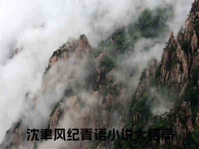 姜温娜柳智城（沈聿风纪青语小说）全文免费阅读无弹窗大结局_姜温娜柳智城最新章节