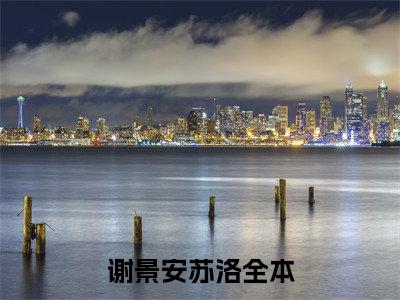 谢景安苏洛是什么小说-（谢景安苏洛）小说全文阅读