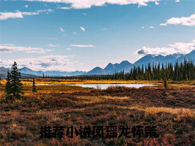 凤瑶龙怀策（凤凰不上断弦鸣）新上热文小说讲的是什么-小说凤瑶龙怀策（凤凰不上断弦鸣）全文免费阅读