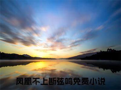 凤瑶龙怀策（凤凰不上断弦鸣）小说最新章节-小说凤瑶龙怀策（凤凰不上断弦鸣）完整版全文在线赏析