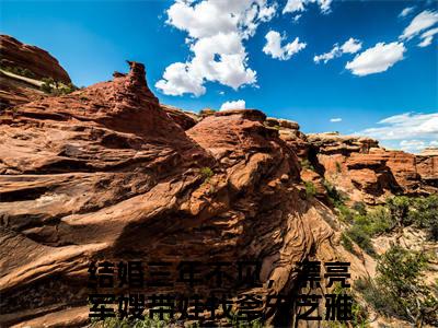 结婚三年不见，漂亮军嫂带娃找爹宋芝雅小说（结婚三年不见，漂亮军嫂带娃找爹宋芝雅）完整版大结局-结婚三年不见，漂亮军嫂带娃找爹宋芝雅小说完结版在线阅读