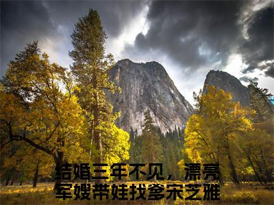 结婚三年不见，漂亮军嫂带娃找爹宋芝雅全文免费阅读 结婚三年不见，漂亮军嫂带娃找爹宋芝雅章节免费阅读