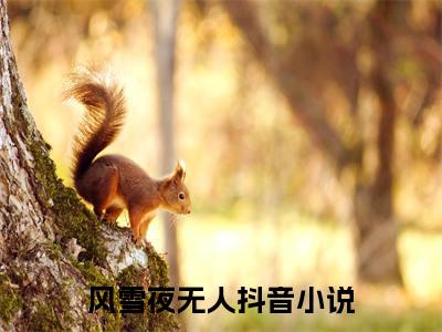 （风雪夜无人）是什么小说-马永泉赵立川（风雪夜无人）免费阅读大结局最新章节列表_笔趣阁