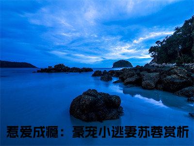 惹爱成瘾：豪宠小逃妻苏蓉小说(惹爱成瘾：豪宠小逃妻苏蓉)全文免费阅读无弹窗大结局_(惹爱成瘾：豪宠小逃妻苏蓉小说全文大结局)最新章节列表_笔趣阁（惹爱成瘾：豪宠小逃妻苏蓉）
