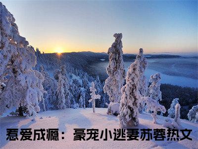 惹爱成瘾：豪宠小逃妻苏蓉（惹爱成瘾：豪宠小逃妻苏蓉）全文免费阅读无弹窗大结局_惹爱成瘾：豪宠小逃妻苏蓉完本小说最新章节阅读