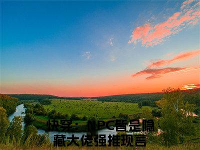 小说苏已司辰完整版在线阅读快穿：NPC皆是隐藏大佬精选小说推荐试读