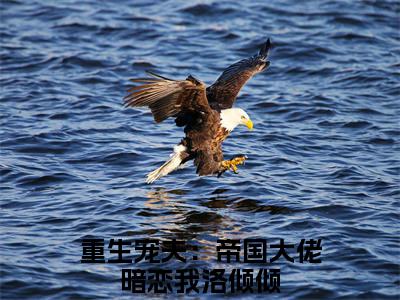 重生宠夫：帝国大佬暗恋我洛倾倾（重生宠夫：帝国大佬暗恋我洛倾倾）最新热门小说-重生宠夫：帝国大佬暗恋我洛倾倾免费阅读