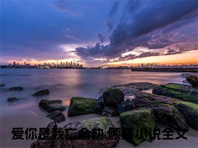爱你是我亡命劫 顾宴（爱你是我亡命劫 顾宴小说）在线阅读全文_爱你是我亡命劫 顾宴小说免费阅读完结版全文（爱你是我亡命劫 顾宴）