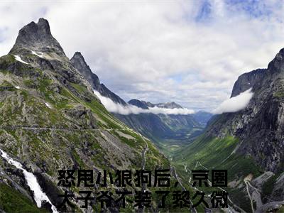 怒甩小狼狗后，京圈太子爷不装了黎久微最新章节全文阅读怒甩小狼狗后，京圈太子爷不装了黎久微天完整版小说