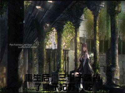 (重生后，三皇子踹掉了皇子妃苏璟屹)最新章节在线阅读-小说无弹窗免费阅读