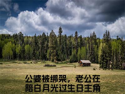原炀陈雅雯（公婆被绑架，老公在陪白月光过生日）小说全文免费_原炀陈雅雯（公婆被绑架，老公在陪白月光过生日）最新章节目录笔趣阁