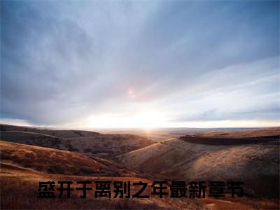 沈律行余薇（盛开于离别之年）全文完整版免费阅读-主角叫盛开于离别之年的小说沈律行余薇