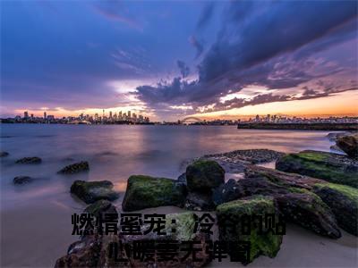 燃情蜜宠：冷爷的贴心暖妻（冉凝冷骁小说全文）在线阅读无弹窗大结局-燃情蜜宠：冷爷的贴心暖妻全文无删减版阅读
